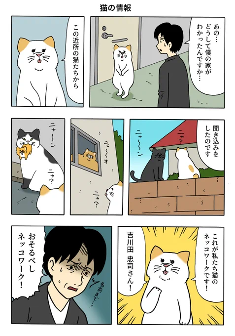 漫画 付きネコ「猫の情報」https://t.co/ZDv29PCLDm 