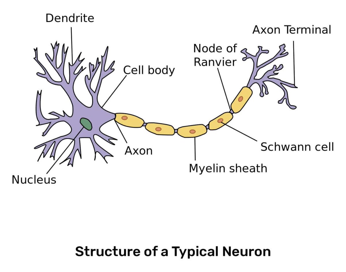 Spencer LaVere Smith tweet media