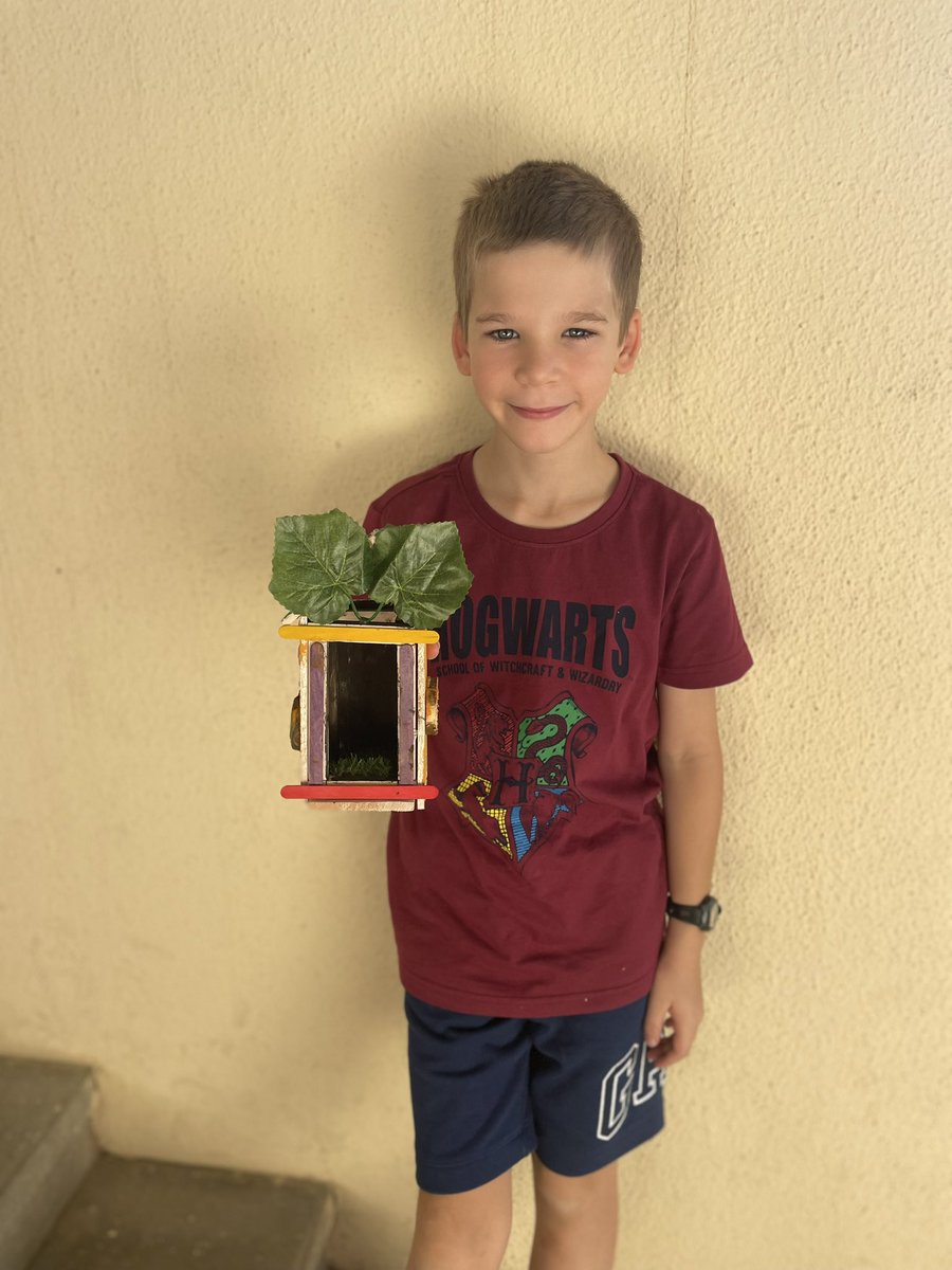 BSM Year 4 tweet media