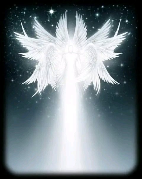 AmlAlkeraby's tweet photo. انت المقصود
 ابشر 
بالمناسبة ..
لما حد يقولك أبشِر قوله قَبِلتُ البشُرى، "سُنه مهجوره"
أبشِروا جميعًا ،
كُل اللي قرأ الكلام دا يعتبرها إشارة من ربنا يحوقل بيقين إن ربنا هيكرمه ، ربنا يسعدكم جميعًا يارب ويراضي قلوبكم ويجبركم 

_ابشروا وحوقلوا. https://t.co/aWDXzU3tr3