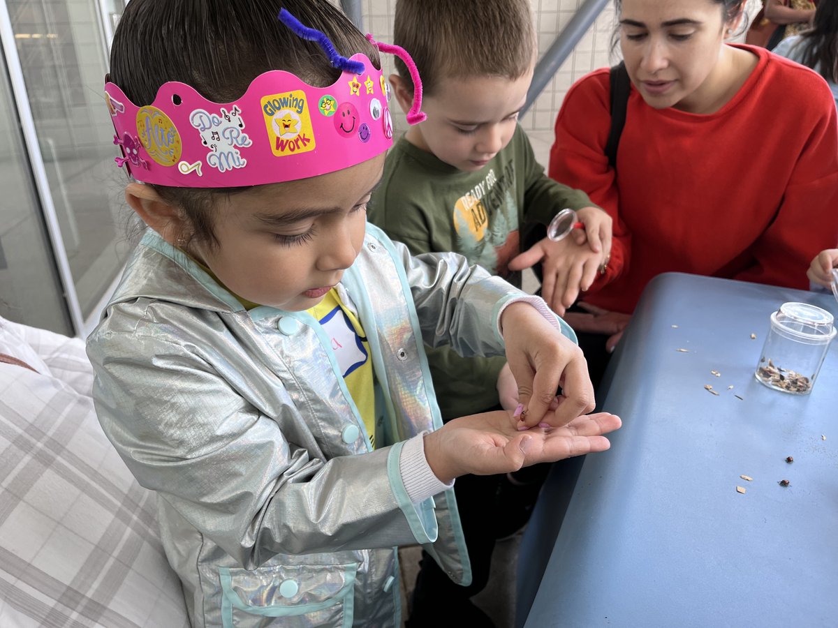 PhxLibrary's tweet photo. Ladybugs at the library! 🐞 The theme of Family Storytime today @ #CesarChavezLibrary was ladybugs! Kids & adults both delighted in learning all about ladybugs up close & personal. Take a look at the ladybug fun! https://t.co/rjYT5ZfFjw #StoryTime #PhoenixPublicLibrary #PHX https://t.co/m3utCCbIj5
