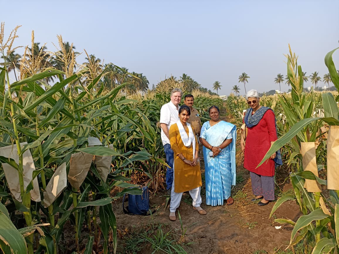shailajafennell's tweet photo. Learnings @TIGR2ESS GCRF Impact workshop at Coimbatore - sharing by FP6 team leads @narayanan_kiitb @ProfJohal @srijitmishra @Rengalakshmi10 and a field visit to boot @jpc1005 @RekhaBhan and looking forward to collaborations with TNAU @plantsci @CLR_Cambridge @CambridgeLandEc https://t.co/3hRVgaTP7V