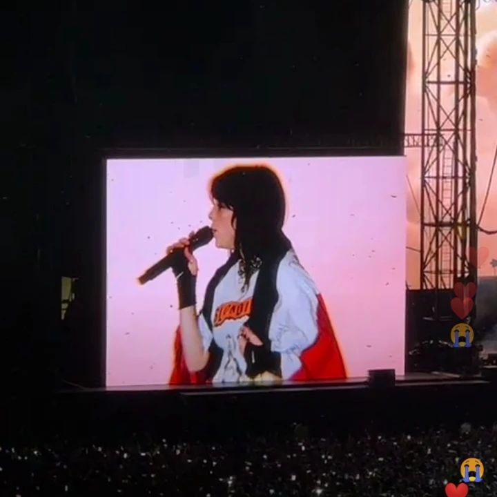 Bloezy's tweet photo. Billie Eilish Con la Bandera de Mexico Hoy en el foro sol!!🇲🇽💝 https://t.co/IT4gRBDNC2