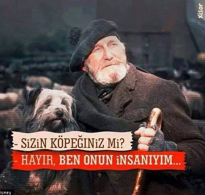 ihtiyarAbi (@ihtiyarabi) on Twitter photo 