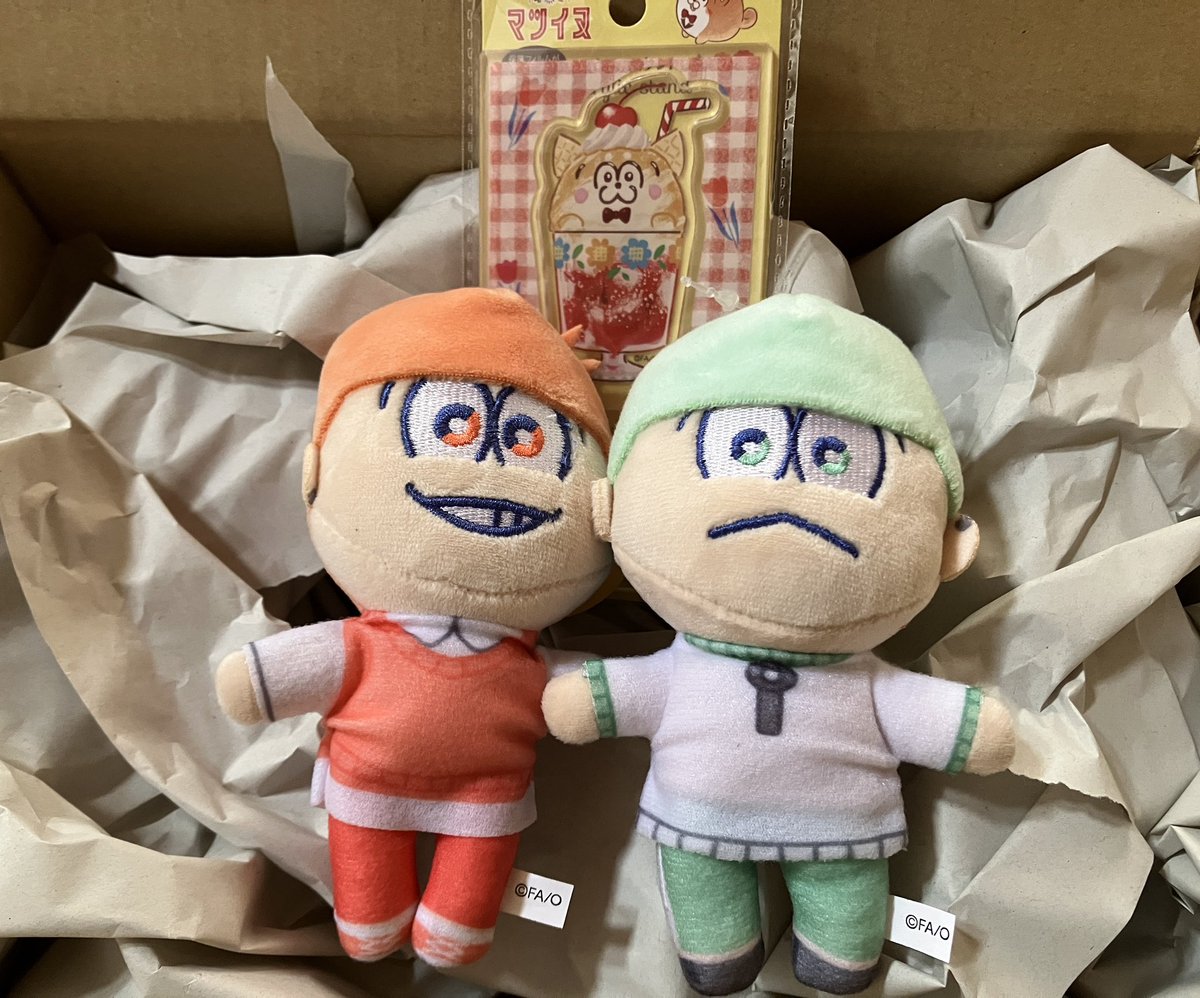 昨日ワッツオンラインで注文したぬいとアクスタもう届いた！！はっや！！ありがとうございます！！！❤️💚