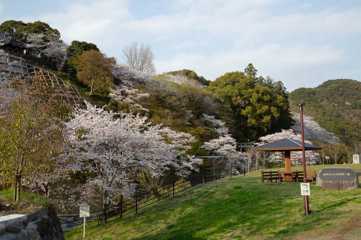 joyotown's tweet photo. 明日、明後日は、ほたると石橋の館で「桜マルシェ」。北川内公園もまだまだお花見が楽しめそうです。ホタルと石橋の里公園の駐車場も新しくなりました！明日よりオープン予定です。ぜひ週末は上陽町へ遊びに来てください^^
#八女 #上陽町 #桜 https://t.co/J533ndIhme