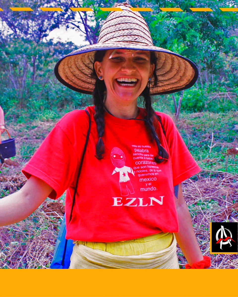 Avispa_Midia's tweet image. 🇧🇷 | Hacienda Flor de Café, un nuevo núcleo de la Teia dos Povos, la articulación de pueblos indígenas, negros y urbanos que actúa en 10 estados de Brasil.

 👉 avispa.org/?p=95514 🐝

#povos #agroecología #Bahía #TeiadosPovos #Levantepelaterra