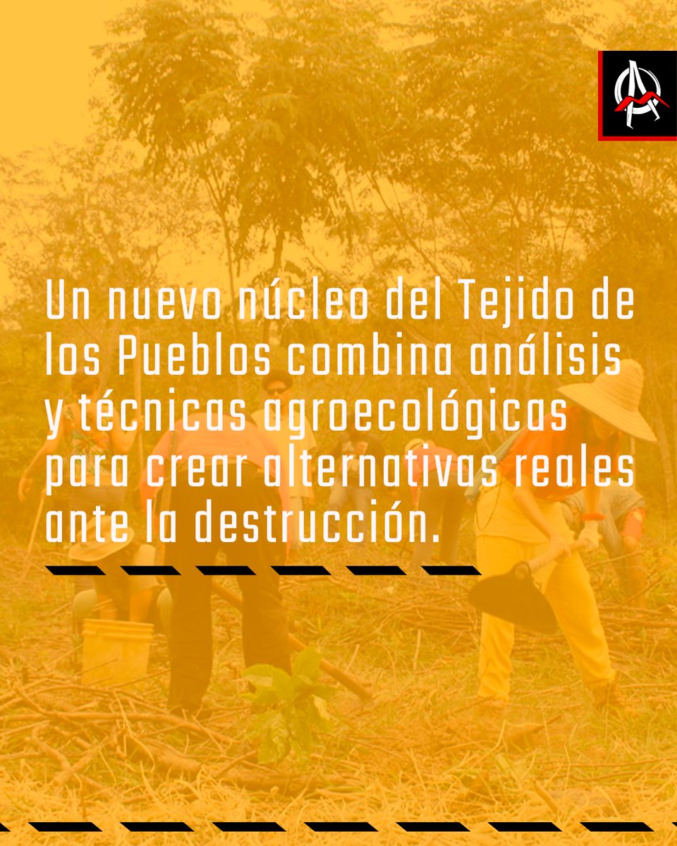 Avispa_Midia's tweet image. 🇧🇷 | Hacienda Flor de Café, un nuevo núcleo de la Teia dos Povos, la articulación de pueblos indígenas, negros y urbanos que actúa en 10 estados de Brasil.

 👉 avispa.org/?p=95514 🐝

#povos #agroecología #Bahía #TeiadosPovos #Levantepelaterra