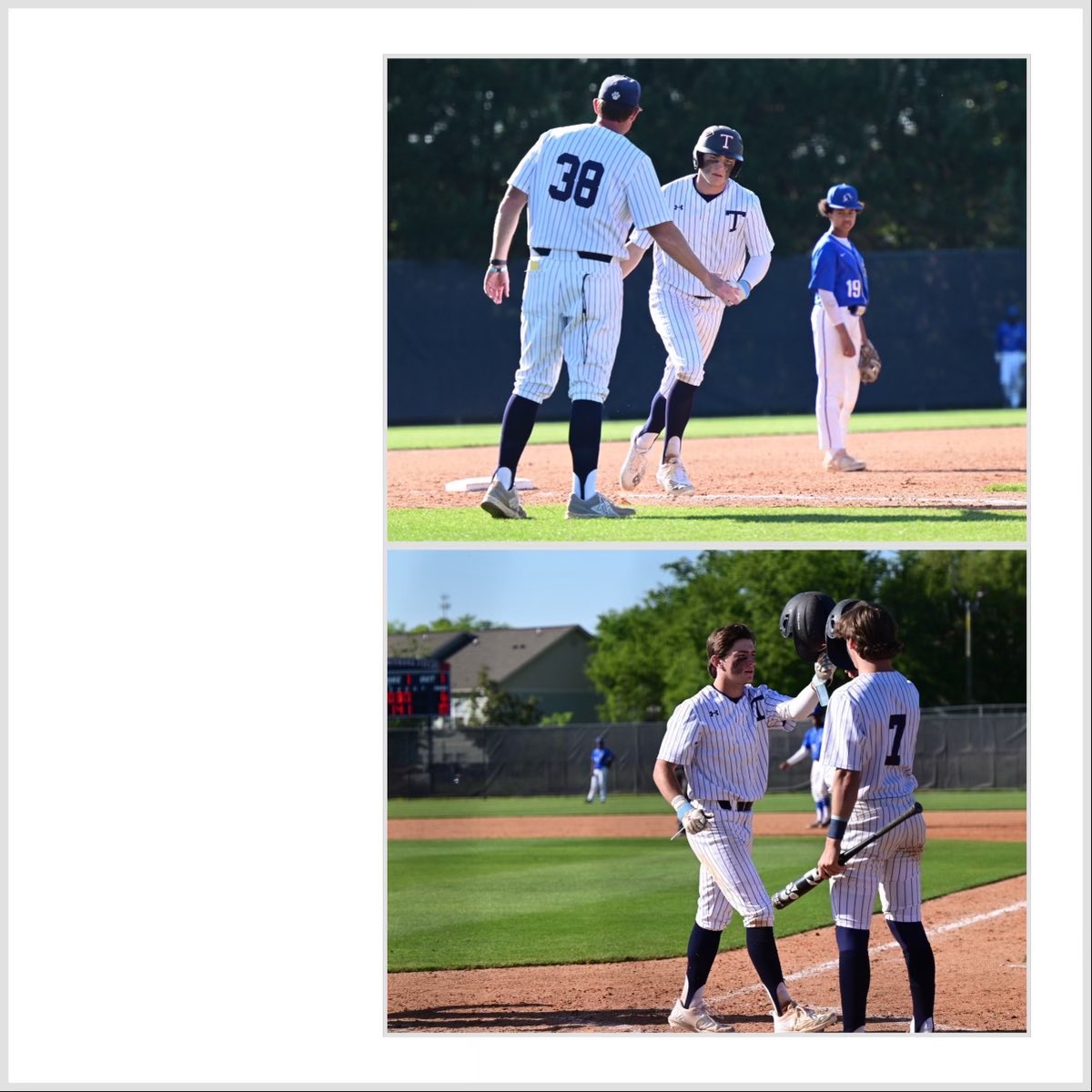 Trinity Wildcats Athletics tweet media