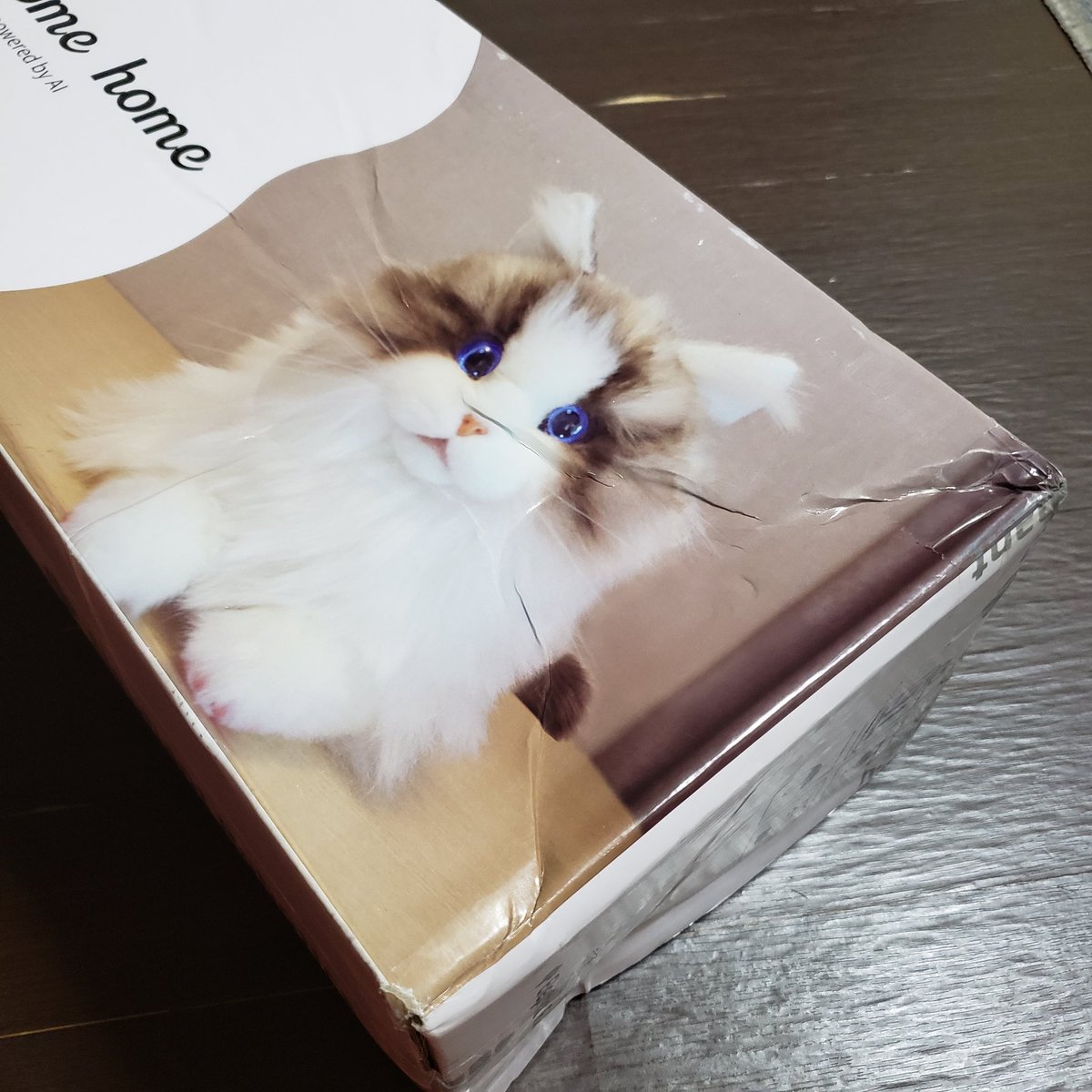 mikolin_robo's tweet image. 剥き出し
簡易梱包
とりあえず充電
壊れてないといいね…

#metacat