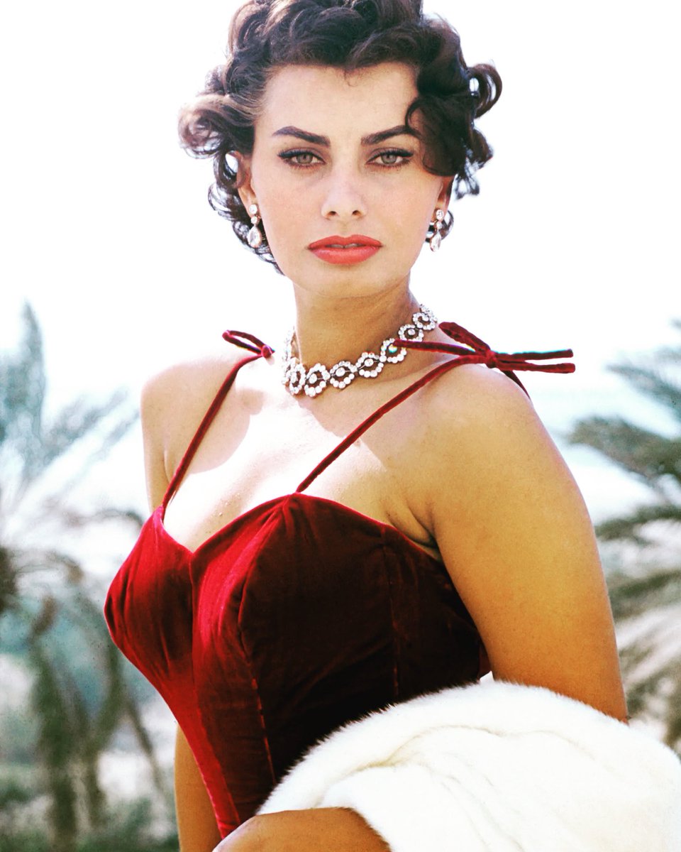 NotablePhotos on Twitter "Sophia Loren"
