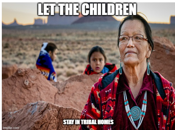 DestaniErwin's tweet photo. The # of children in the US foster system is alarming, however I would like to learn more about what portion of those children are Indian Native Children and how many of those children actually have been placed in a tribal home as the ICWA states. @DrFeMurray @SOCPolicy2023 https://t.co/GQAzCAmtOq