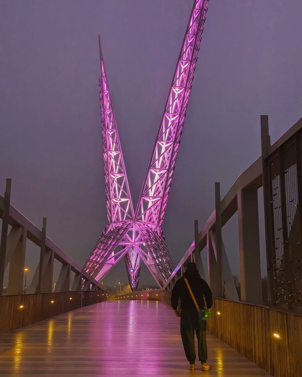 mcafee2012's tweet image. Tonight, Skydance Bridge is lit up in honor of #TransWeek, and it brought me some needed joy to see it in all of its misty glory. Thanks for making it happen @jospacebear.  #OKCforEveryBody #TWOVA