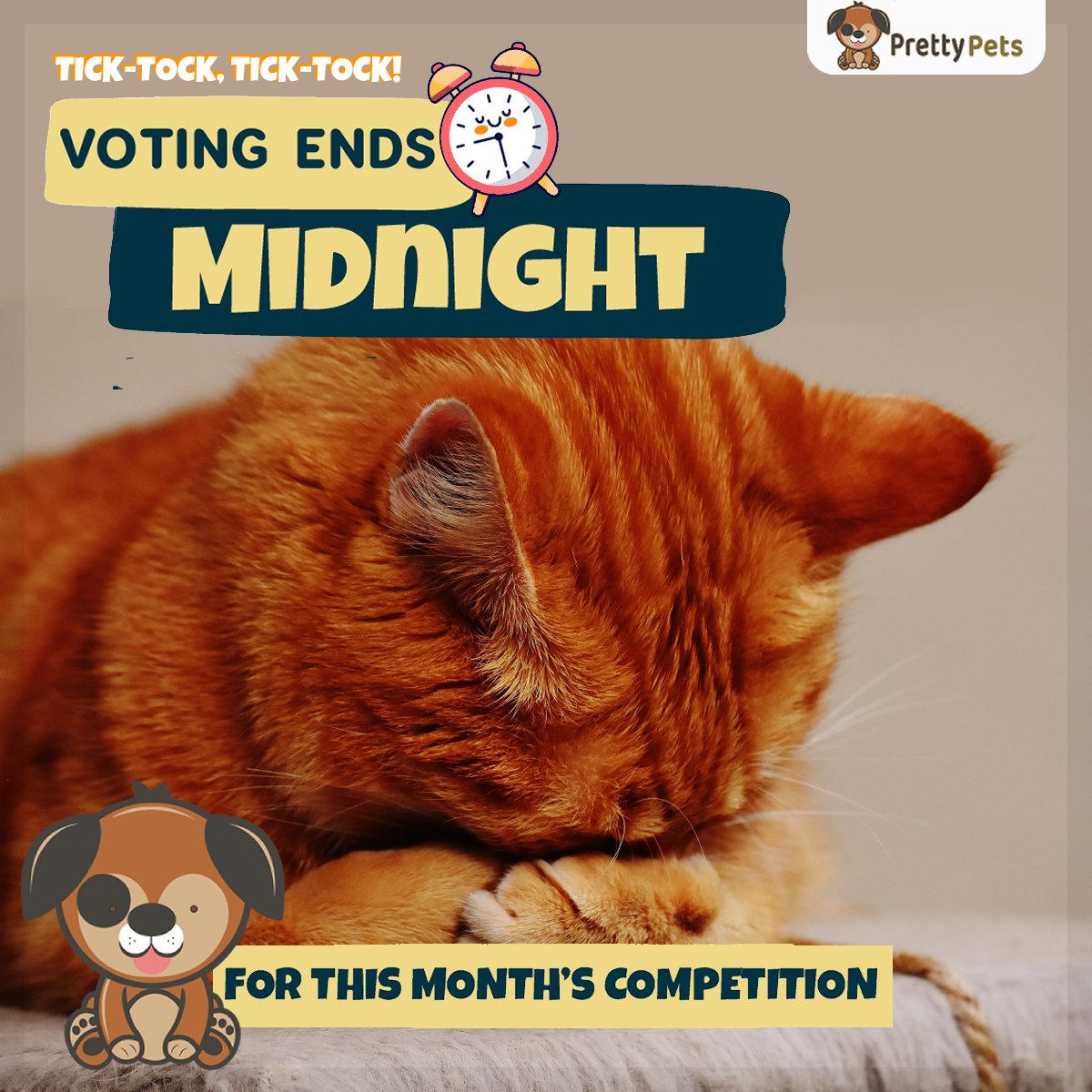Pretty Pets South Africa (@PrettyPetsZA) / Posts / X