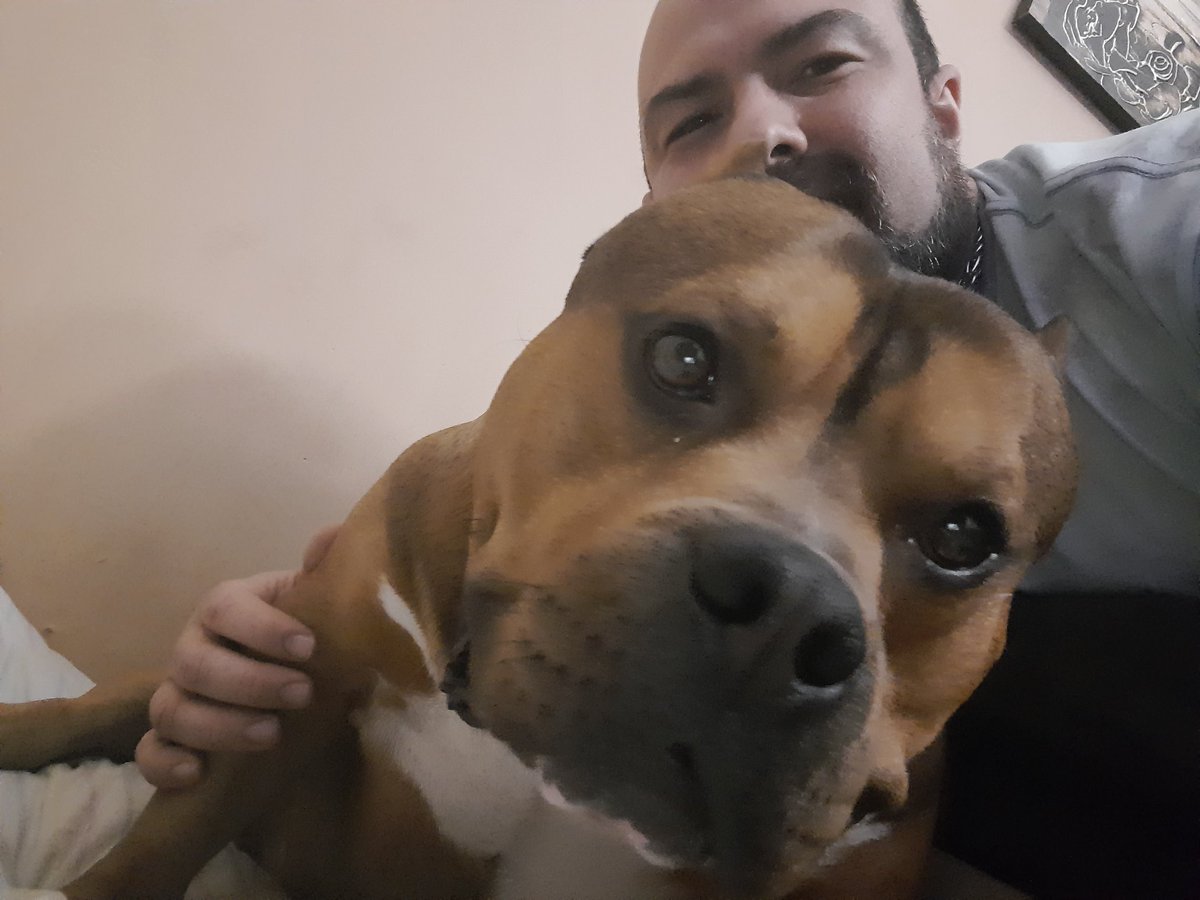 seperezu's tweet image. Hasta que le saque la sonrisa. #AMBY #ABKC #ABKCGuatemala sangre de ElToro.