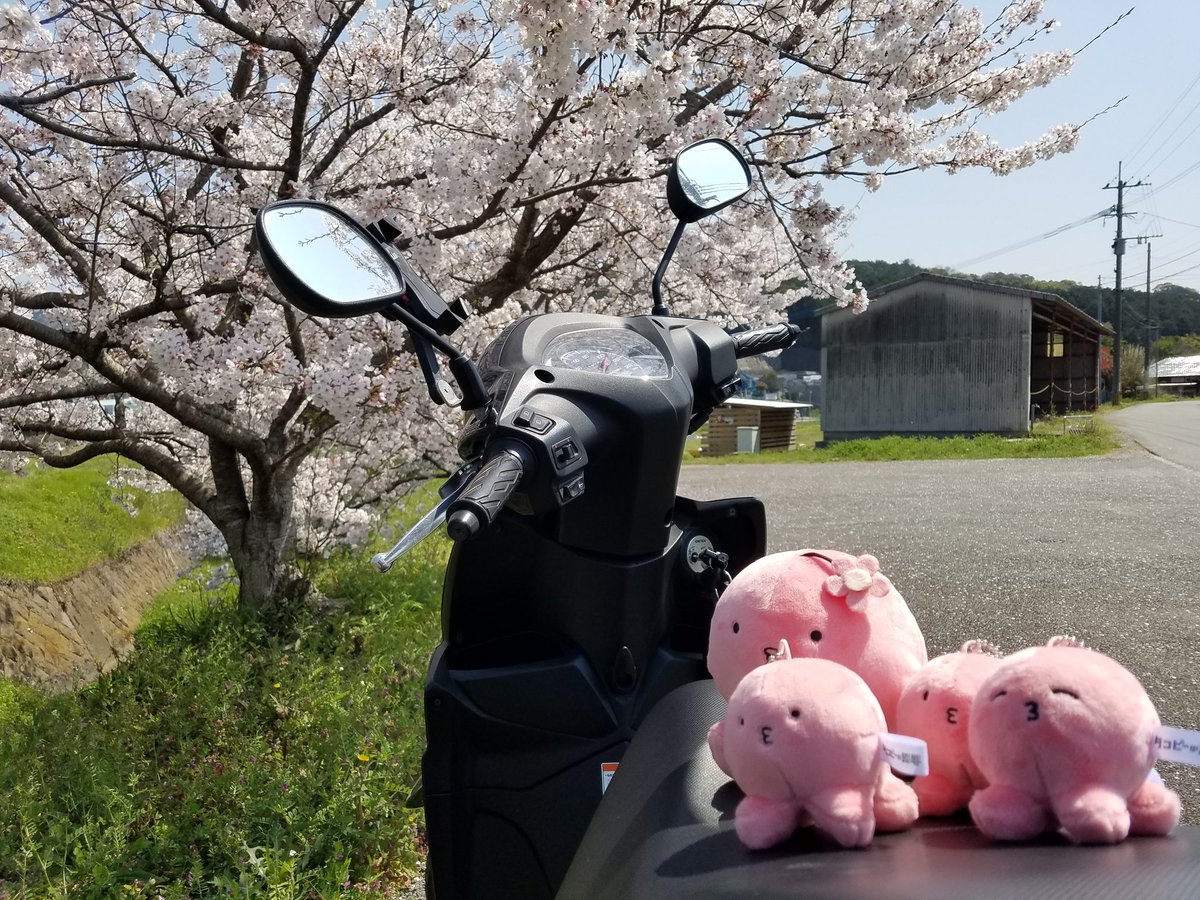 Tw_fare's tweet photo. 連れてこれたぞ…。
タコピーを桜の咲く暖かな春に….。
タコピーが人間なんかのために…傷付き、悩み苦しみ、消えてしまうことなかったんだ…。ｳｳ…。 https://t.co/lC4BX3LHA5