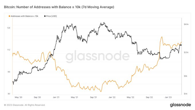 TheNFTStudioNet's tweet photo. #BITCOIN WHALES BUY IN BEAR MARKETS, SELL IN BULL MARKETS! 🔥👇 https://t.co/LrSBZsXHqQ