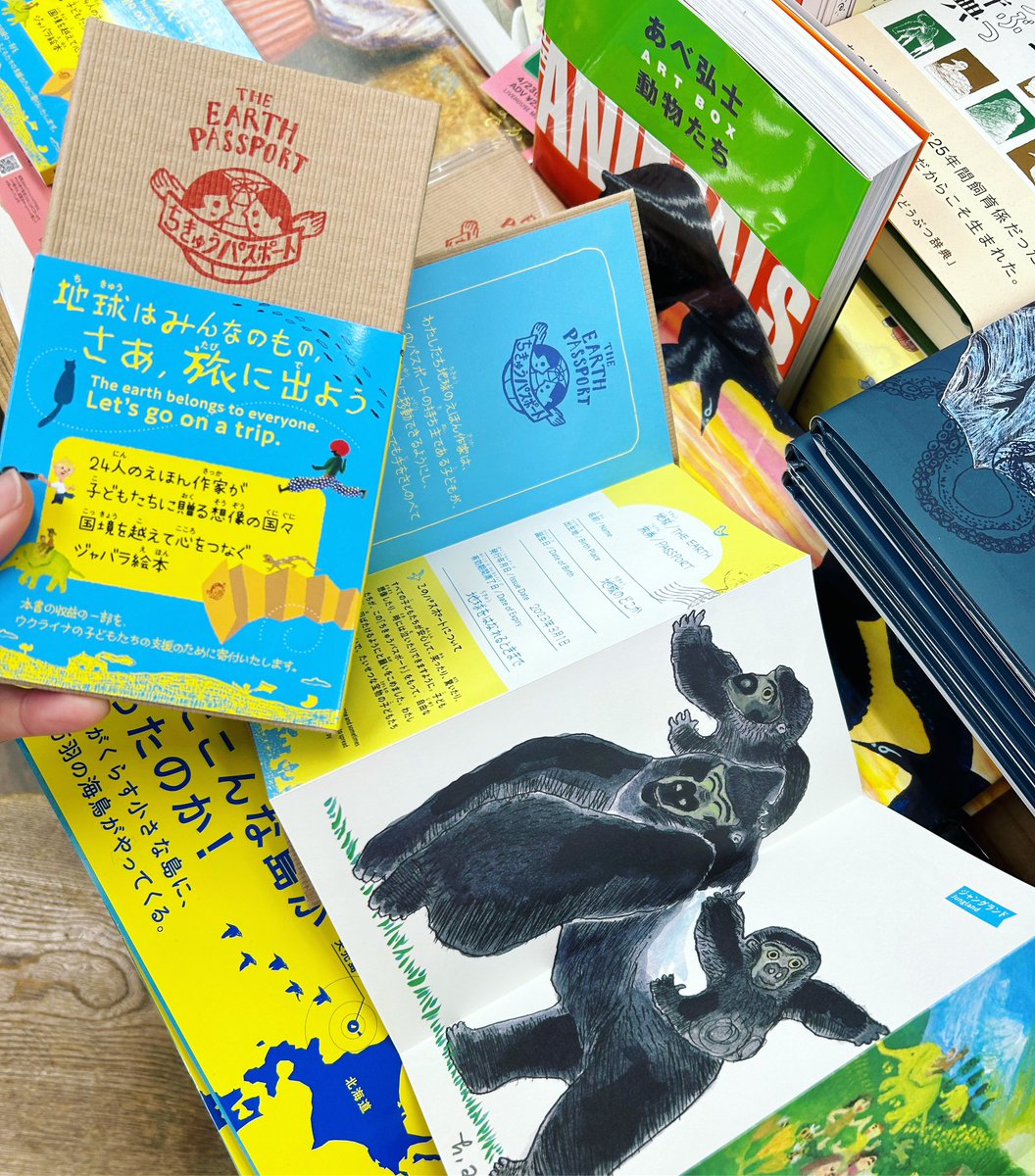 あべ弘士 原画 いろいろの色 絵本作家 旭山動物園 | tikum.id