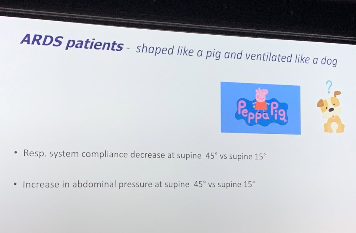 Lisa Pereira tweet media