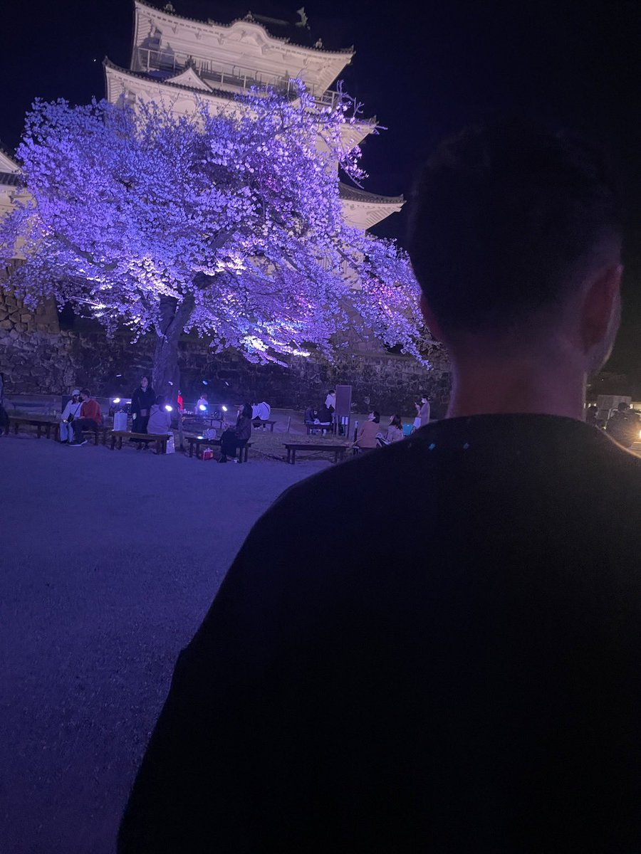 ROCK703058's tweet photo. 小田原城桜綺麗だった https://t.co/CZiov0qj4U