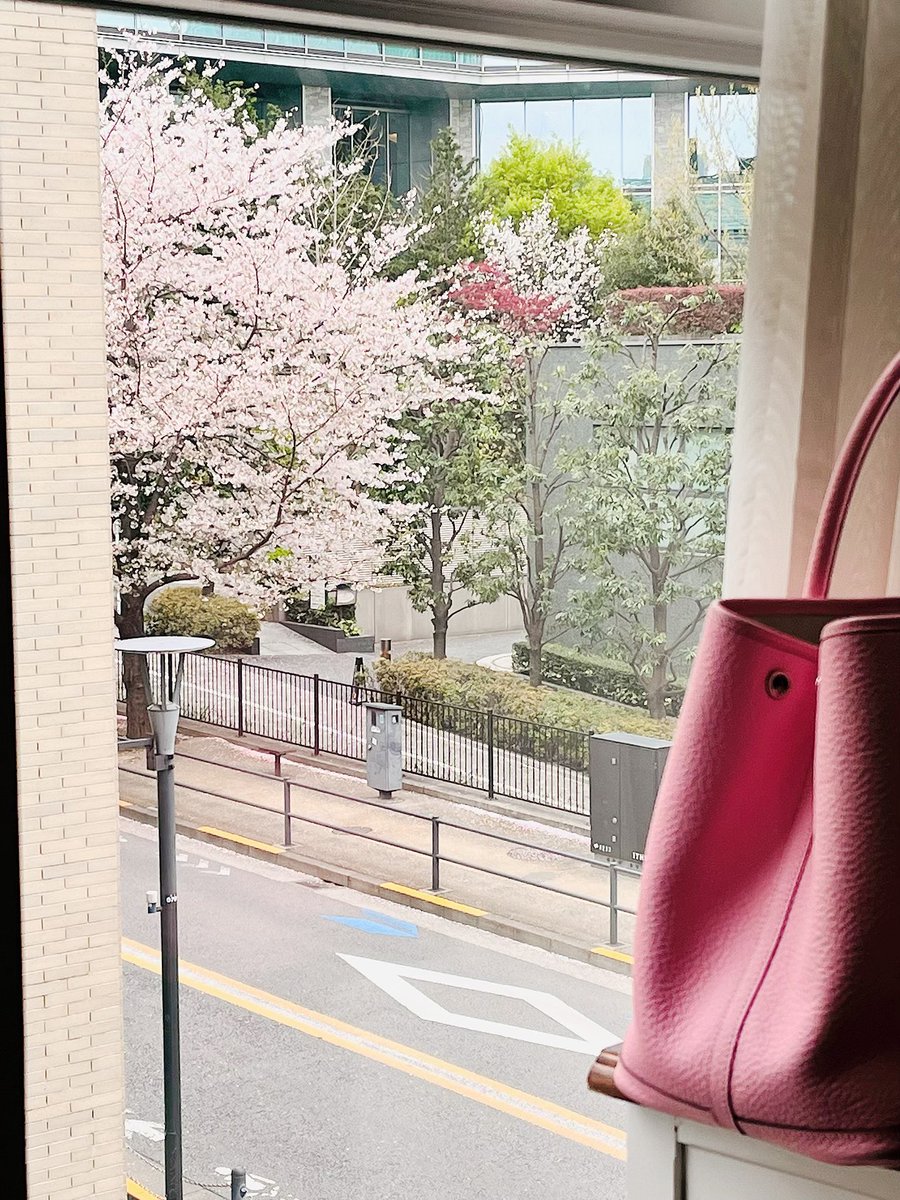 ヘアサロン近くの桜が綺麗で撮りました🌸
室内からもお花見できて嬉しい😊 https://t.co/0qYLBEQ44u