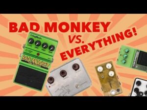 #Bad #Monkey vs #Klon, #Jhs #Morning ... 
> justthetone.com/bad-monkey-vs-…
 
#Behringer #BoostPedal #BossPedals #ChorusPedal #CompressorPedal #DelayPedal #DistortionPedal #EqPedal #GuitarEffects #GuitarGear #GuitarPedalDemo #GuitarPedals #JHSPedals #MusicHistory #OctaveFuzz #ODR1