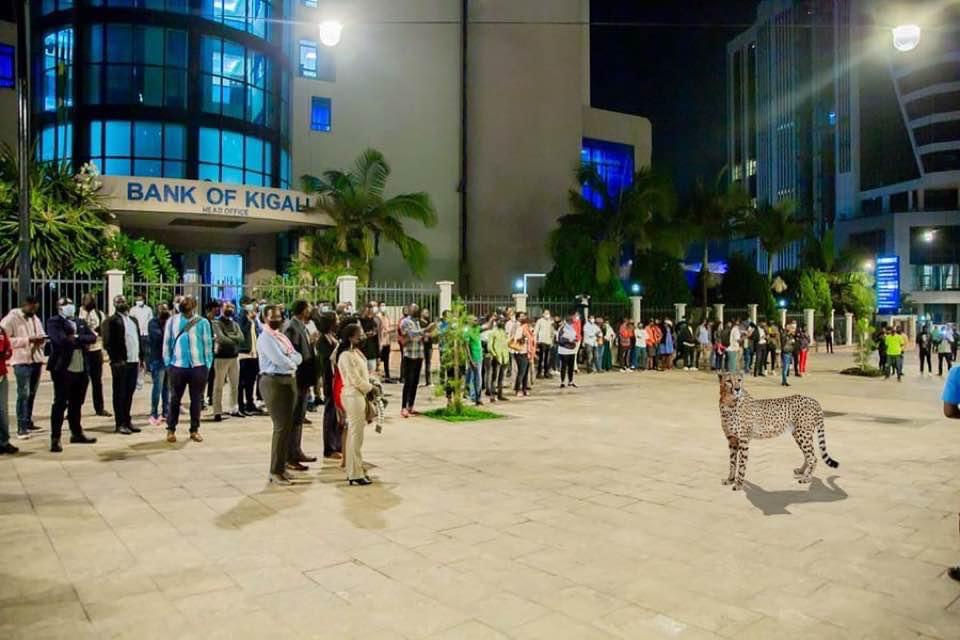 ElijahProfet's tweet photo. @AntaMucyo @aprfcofficial Ahubwo udushakire amakuru y'uwazanye iyi #Ngwe mu Mujyi wa Kigali! https://t.co/oUzsKxFXPZ