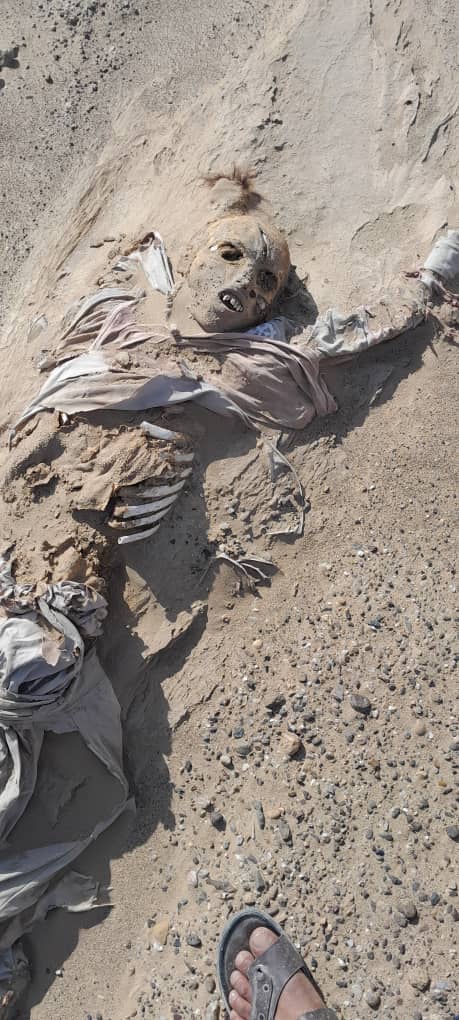 SodaysM's tweet photo. The crimes of international Taliban terrorists in the north of the country Professional criminal terrorists of Taliban in all parts of Afghanistan, especially in your provinces, especially in Panjshir, shot thousands of innocent Tajik youths and buried them at night.

￼ https://t.co/rd6ZH2rfiC