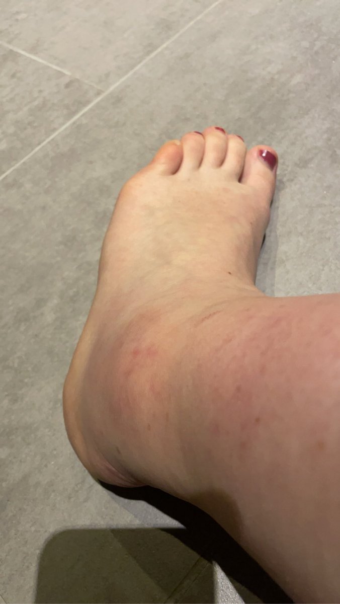 Souchi 👊🏼 tweet media