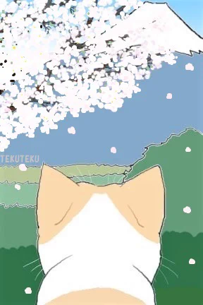  #お花見日和 #満開  