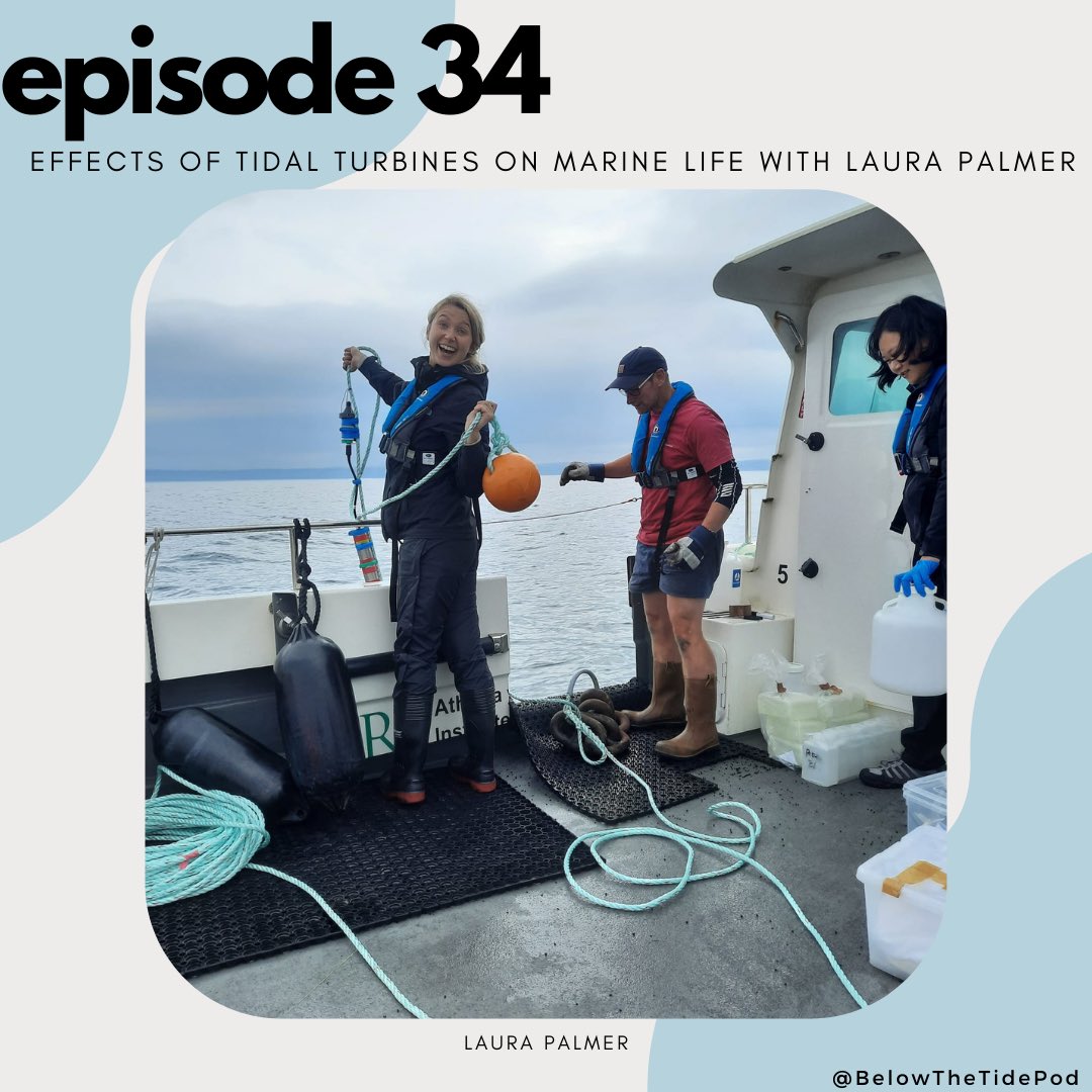 belowthetidepod's tweet photo. ICYMI: EP 34 - Effects of Tidal Turbines on Marine Life with @_laurapalmer93 🐬 We chat about her work with @univofstandrews  and @_SMRU_   looking at effects of turbines on harbour porpoises. We chat turbines, acoustics + more! 
Listen here: https://t.co/xOwCt0Ka8N
#scicomm https://t.co/UwKp1WpXgX