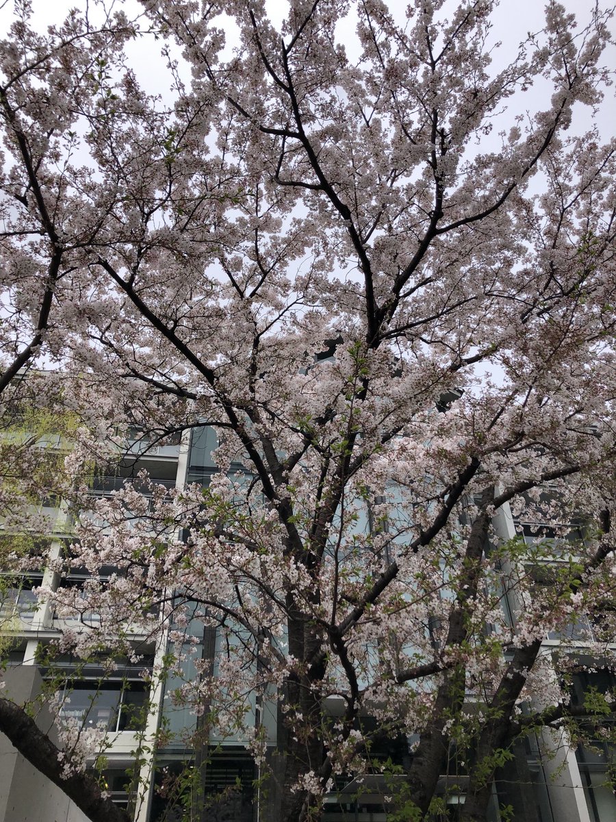 松本久史 on Twitter