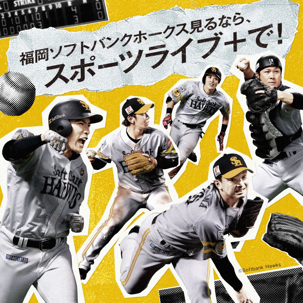 HAWKS プロ野球中継2023：野球：スポーツライブ＋（プラス）