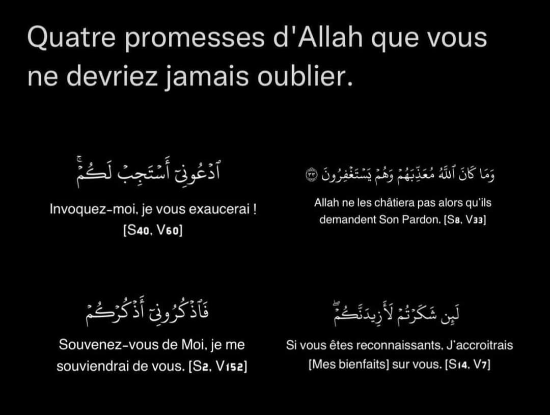 PaolaAssiya's tweet photo. 📌 Les 4 promesses d'Allah ( عزوجل ), à ne jamais oublier ⬇️ https://t.co/JLxKh1HMSl
