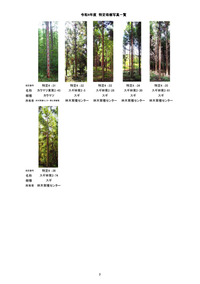 #特定母樹 は、#間伐等特措法 に基づき、優良な種苗を生産するための種穂の採取に適する樹木のうち、成長に係る特性が特に優れたものとして農林水産 ...