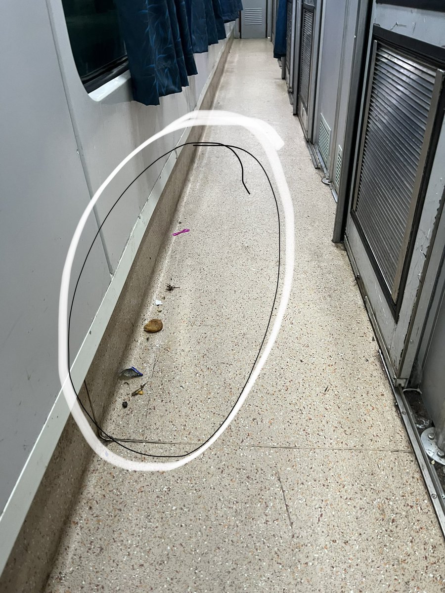 ashzmshz's tweet photo. Poor Hygiene condition on my jrny to UJN Train 19314 1A Cabin Imgn 2-3A
onboard cleaning staff was ignorant &amp; overlook
Mosquitos,Dirty Passage,Clog allover,Bad Smell
@RailMinIndia @AshwiniVaishnaw 
Intent: Help improve process so other have better experience least on same train https://t.co/5U3uHObvb3