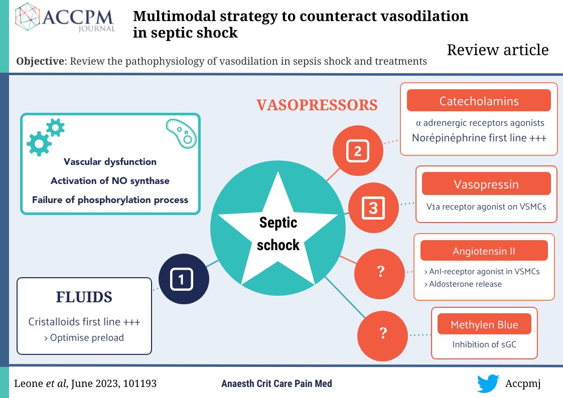 Read this narrative review from @MarcLeone8 et al. on the multimodal strategy to counteract vasodilation in #SepticShock 

🔗 tinyurl.com/3dz97v4w

#criticalcare