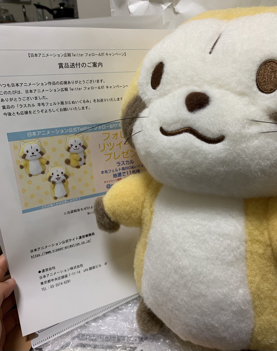 セール商品ラスカル 羊毛風フェイスクッション クッション | sos.cafe