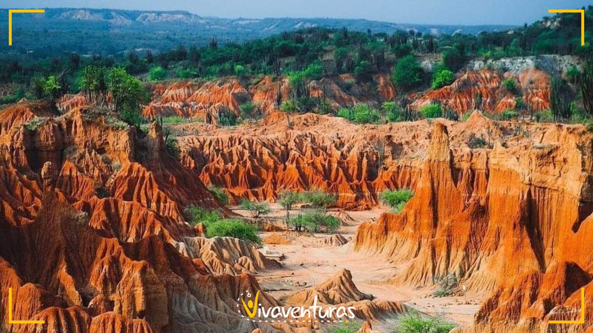 Pasó cupido y me dijo: Tú no, tú VIAJA.