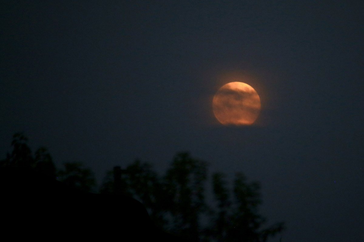 JAErwin8's tweet photo. @BraydenCreation So many moods; just one moon…. #moon https://t.co/Z53Es87x0c