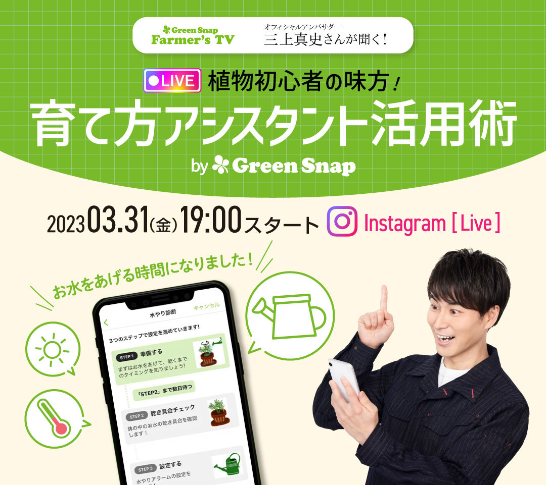 🍀GreenSnap tweet media