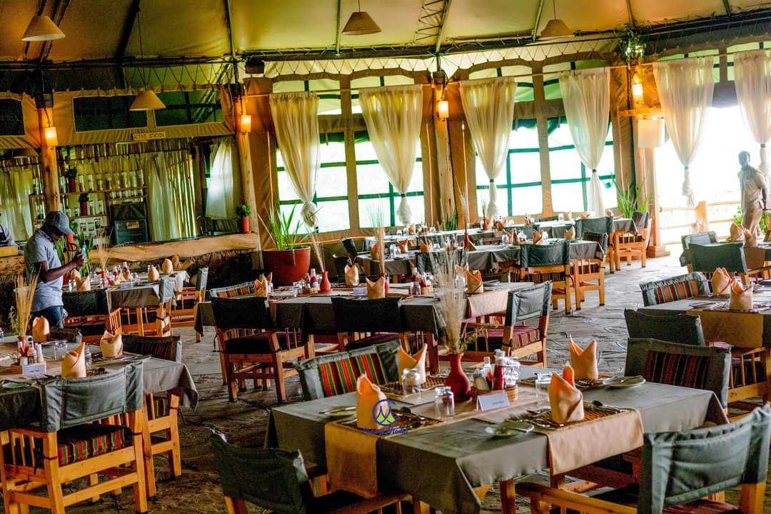 SyvetSafaris's tweet photo. Welcome to Maisha Mara Camp. 

Do not wait for the perfect time to travel. It'll never come. Plan it now and enjoy that experience. 

📞 0707502348/0708826877
📩 syvetsafaris@gmail.com

📸 @MaishaMaraCamp https://t.co/63CoPP3VcI
