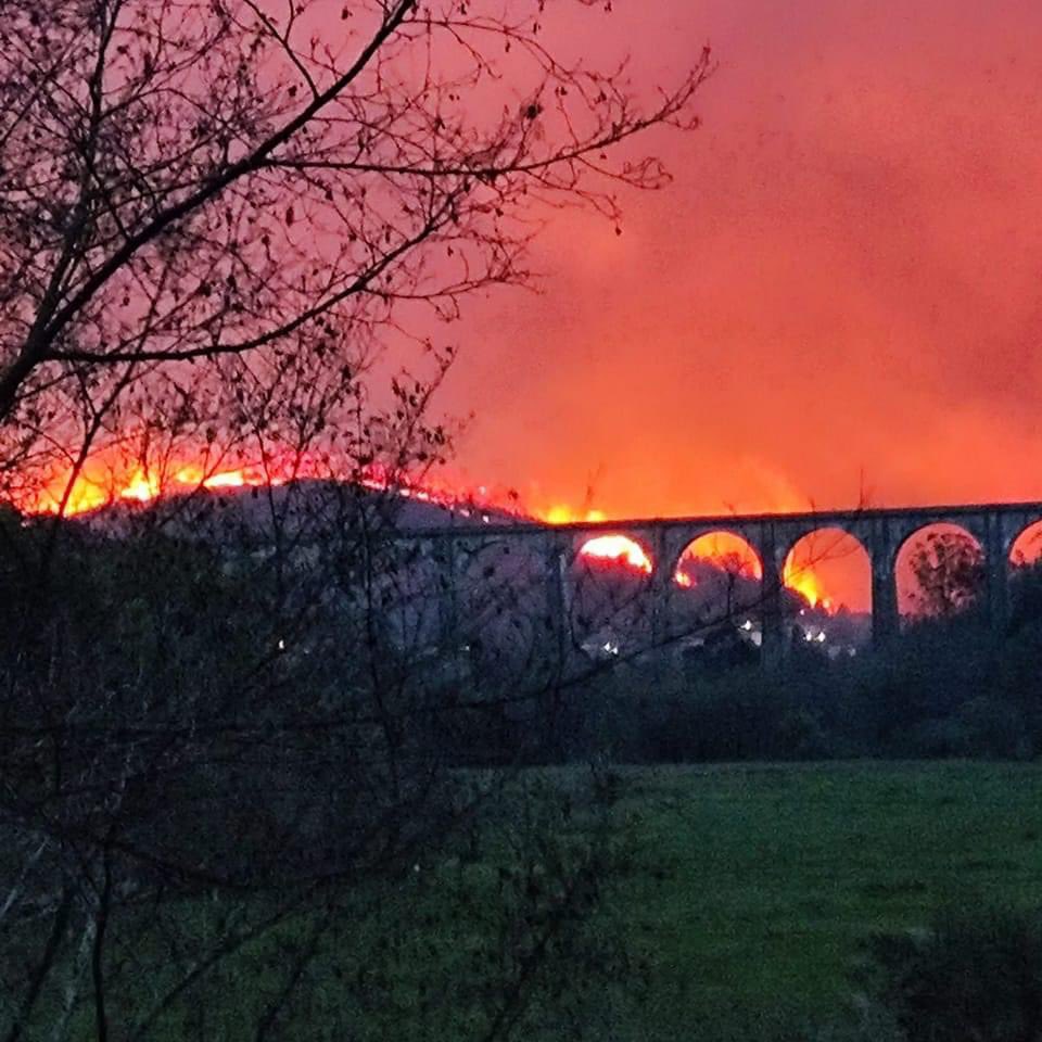 belenchuu_18's tweet photo. Quemáis mi casa, donde tanto lucharon mis abuelos por cuidar el campo, todo eso nos dio de comer, donde plantaron y cuidaron los praos 💔
#AsturiasArde #Valdes #Villayón https://t.co/qk8DySZS4h