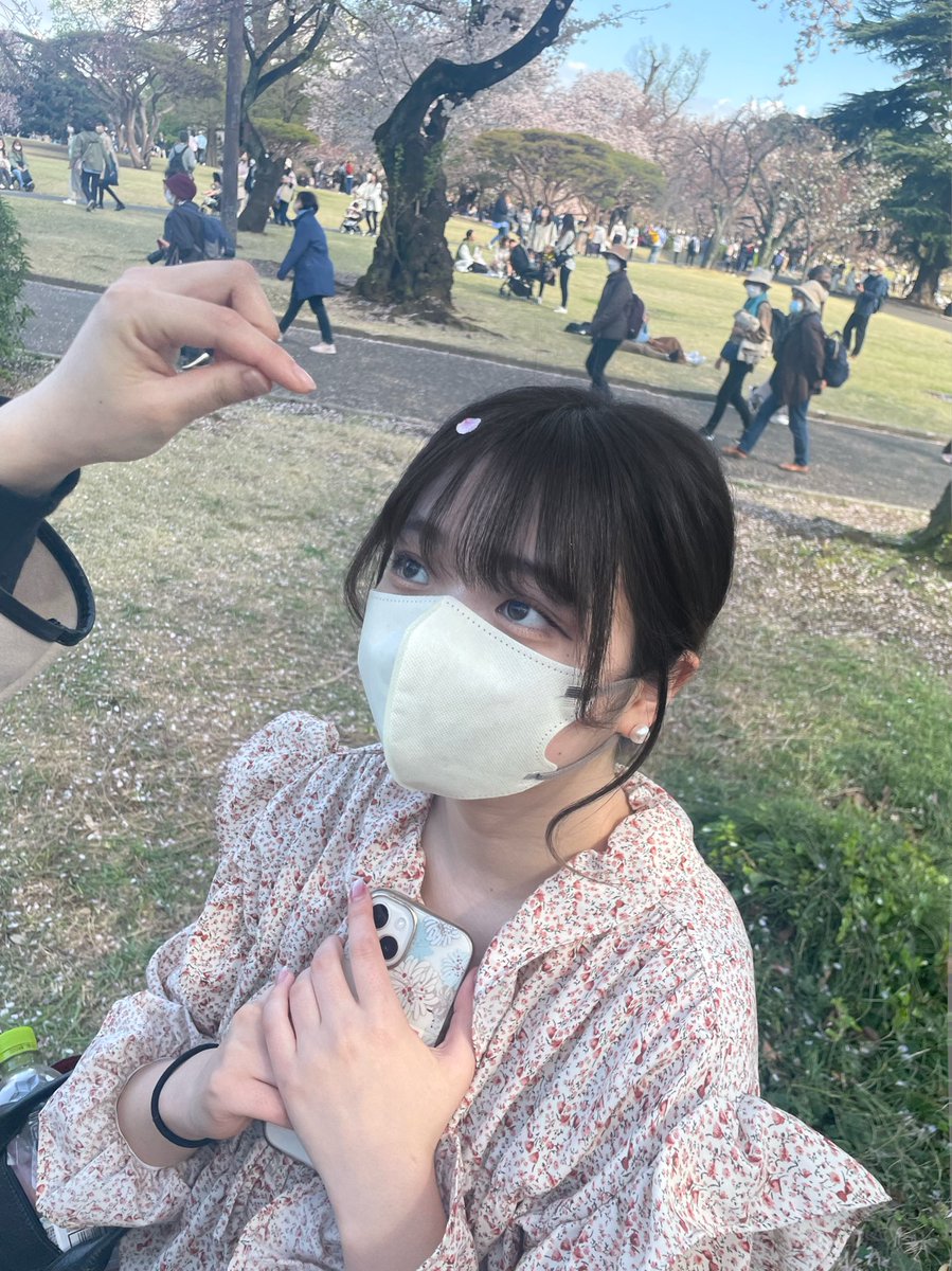 momo_nyon's tweet photo. お花見、新宿御苑 https://t.co/XOHm6f4zWl