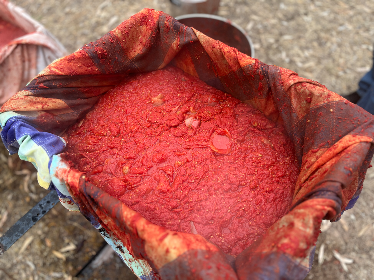 fiona_basile's tweet photo. Our annual Basile &amp; Co Passata-making Day, held in country Victoria, is a special time to deepen our family ties and traditions, and to connect to our Italian culture and heritage. And we have fresh tomato sauce for the year! https://t.co/EcW07SIQVA @SBSFood @ilglobonews join us! https://t.co/prYIdPLxg5