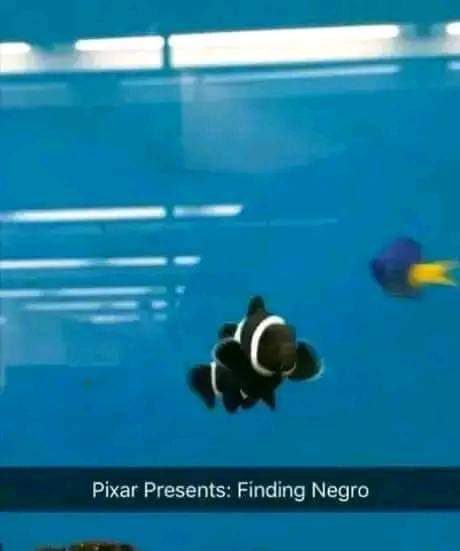 DARK JOKES 🔞 (@komedigelaap) on Twitter photo 