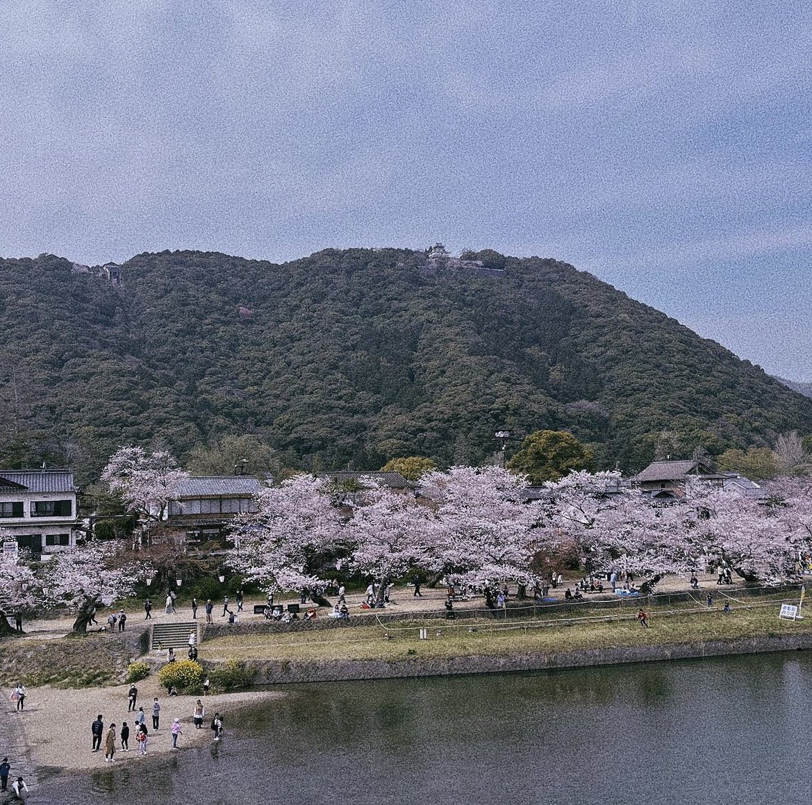 🇯🇵New home for the next 3 years 🇯🇵