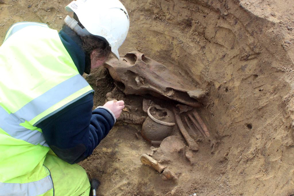 CotswoldArch's tweet photo. You can read more about them, and the site they came from, in our Virtual Museum: https://t.co/z7gs3t3bd1
#FridayFind #Prehistoric #Archaeology #Neolithic #Oxfordshire #VirtualMuseum #DigitalArchaeology #ArchaeologyForAll #CAVM https://t.co/TZs1YehW83