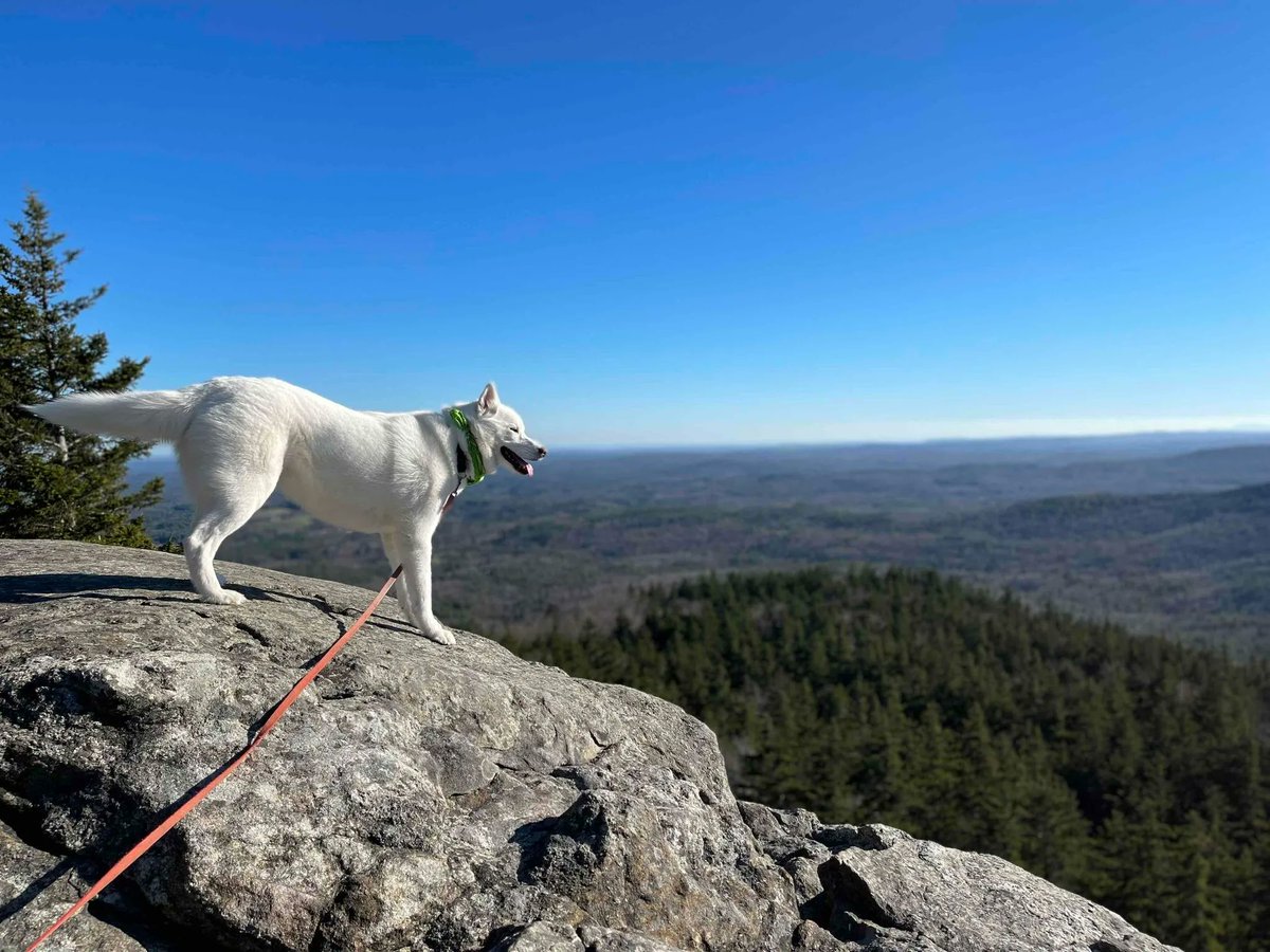 outerspatial's tweet photo. The days are getting longer and that means you have more time to explore, walk, hike, roll, or have a cookout in the warm sun.

What are your plans?

#outerspatial #findyouradventure https://t.co/oPD9LjXAv2