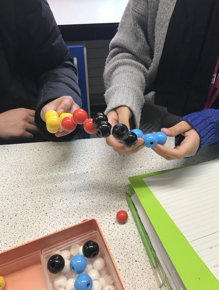 BvgaScience's tweet photo. Learning about exopeptidases and endopeptidases enzymes in A level biology this week was amazing. https://t.co/Yj19UsMgAn